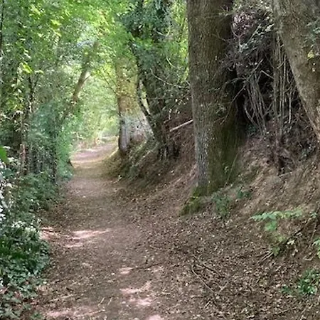 Hébergement de vacances Champêtre Aux Portes Du Mans Avec Jardin, Parking Et Terrasse - Fr-1-410-439 Coulaines